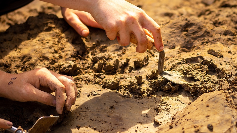 Pathways to Ancient Britain: Emerging Neanderthals